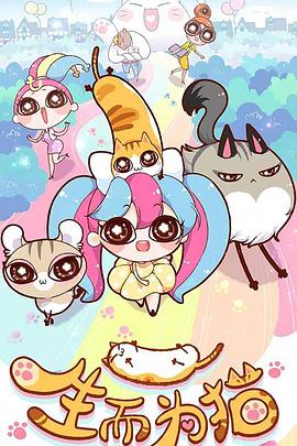 常宁seo搜索优化